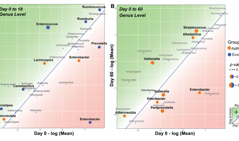 MICROBIOME ANALYSIS REVEALS AZITHROMYCIN POST-TREATMENT EFFECTS