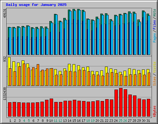 Daily usage for January 2025