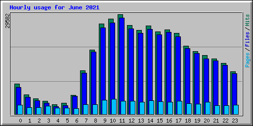 Hourly usage for June 2021