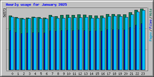 Hourly usage for January 2025