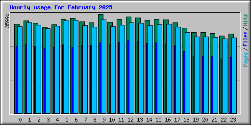 Hourly usage for February 2025