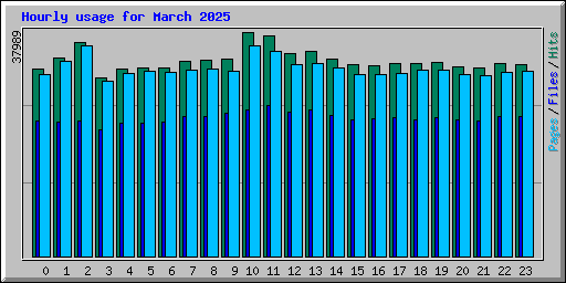Hourly usage for March 2025