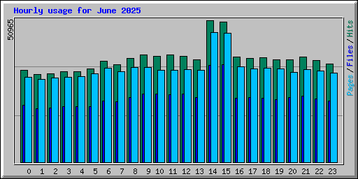 Hourly usage for June 2025