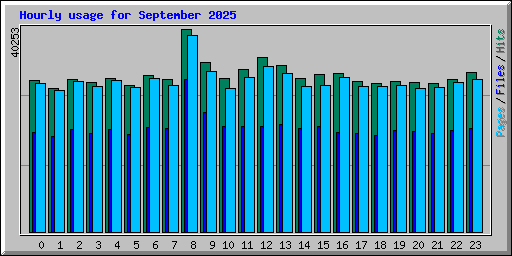 Hourly usage for September 2025