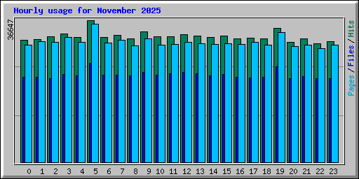 Hourly usage for November 2025