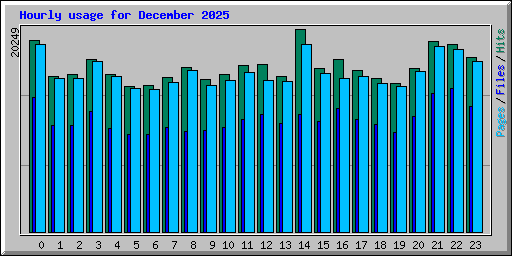 Hourly usage for December 2025
