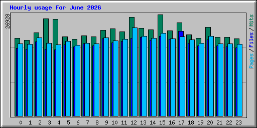 Hourly usage for June 2026