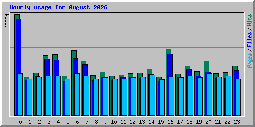 Hourly usage for August 2026